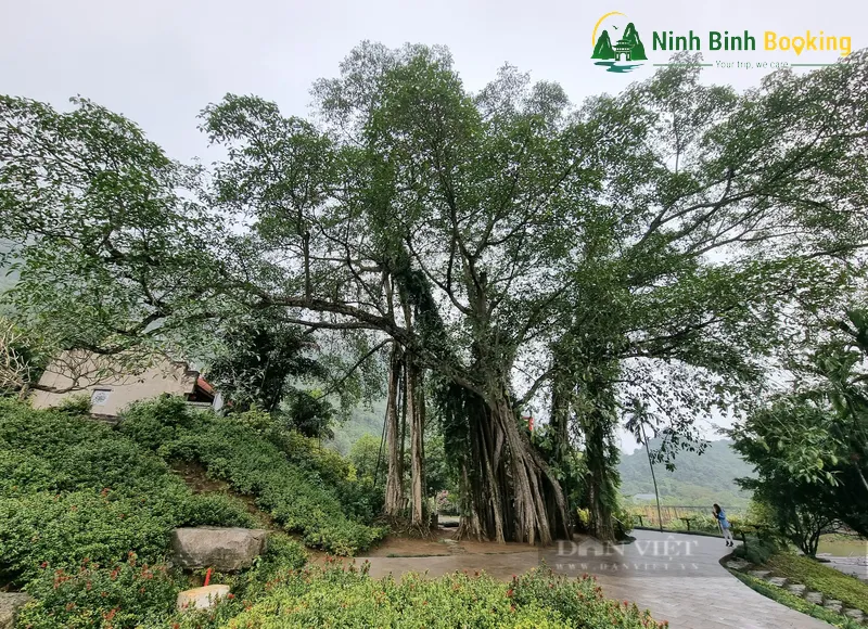 Hình ảnh đa di chuyển tại Thung Nham