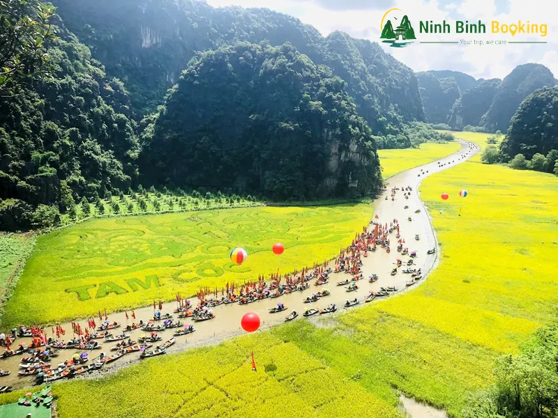 Tam Cốc Mùa Lúa Chín