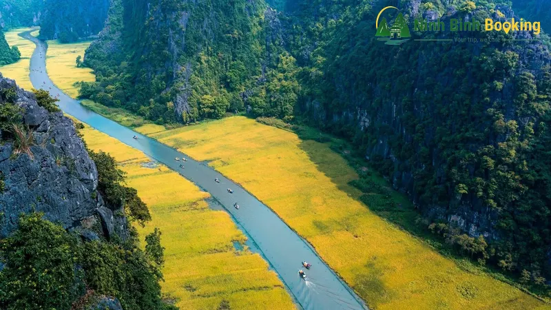 Dòng sông Ngô Đồng